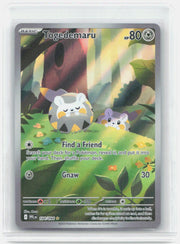 Togedemaru Holo Illustration Rare ME02: Phantasmal Flames 104/094 NM