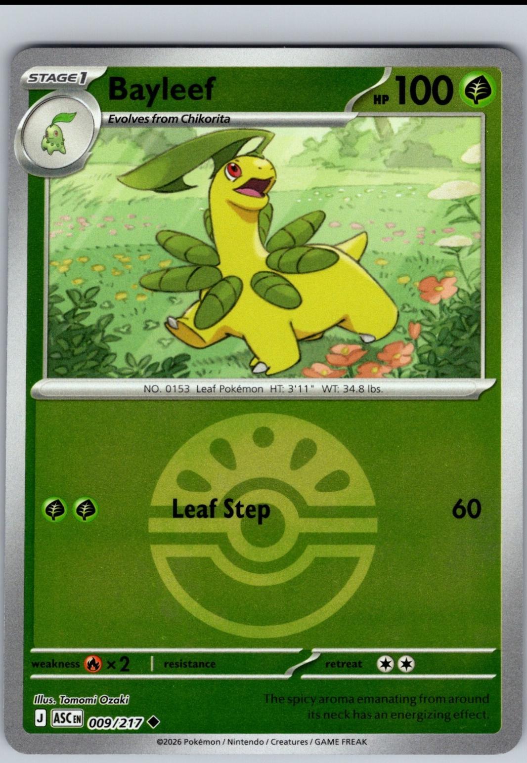 Bayleef [Ball]
