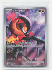 Charcadet - Holo Promo ME: Mega Evolution Promo 022 NM