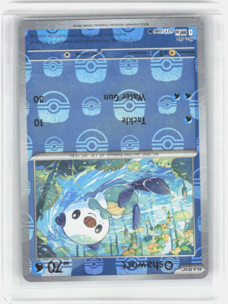 Oshawott Common SV: White Flare 041/189 NM (Master Ball Pattern)