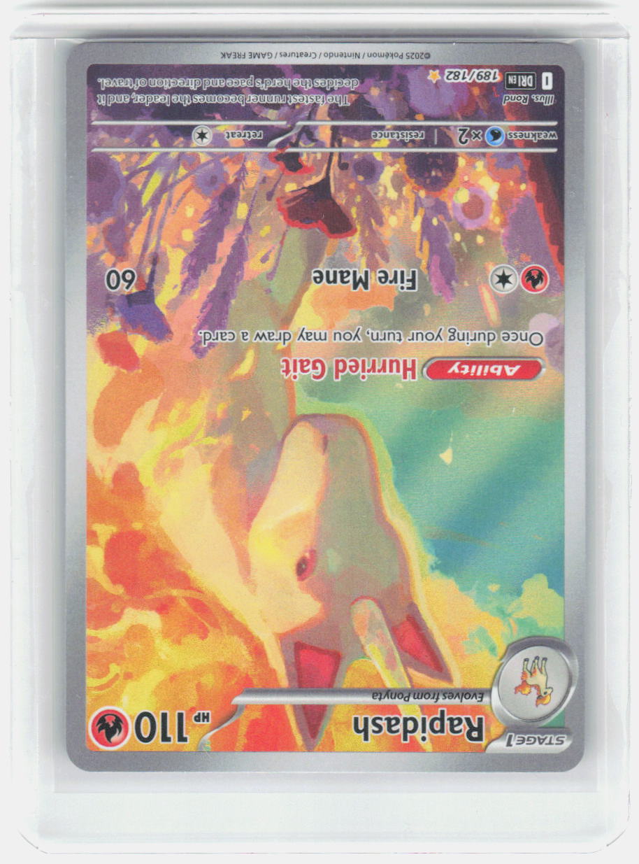Rapidash Holo Illustration Rare SV10: Destined Rivals 189/182 NM