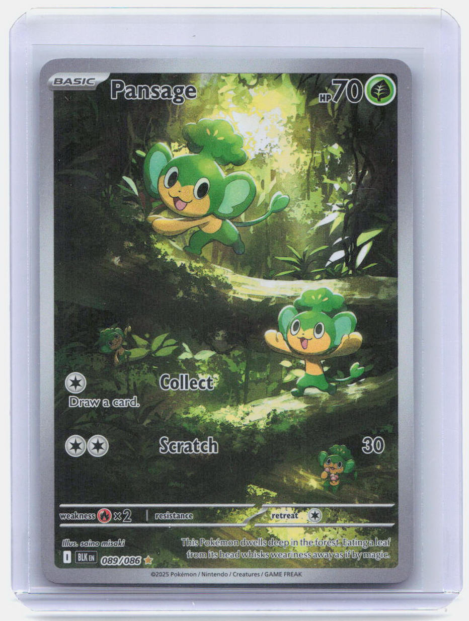 Pansage Holo Illustration Rare SV: Black Bolt 089/086 NM