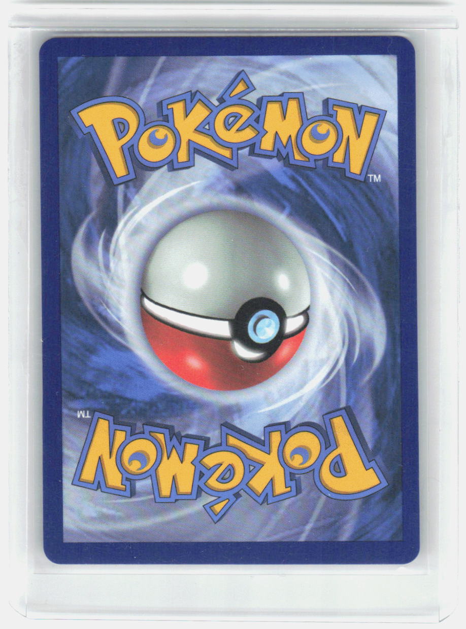 Wailord V Holo Ultra Rare Champion's Path 013/073 NM (Back)