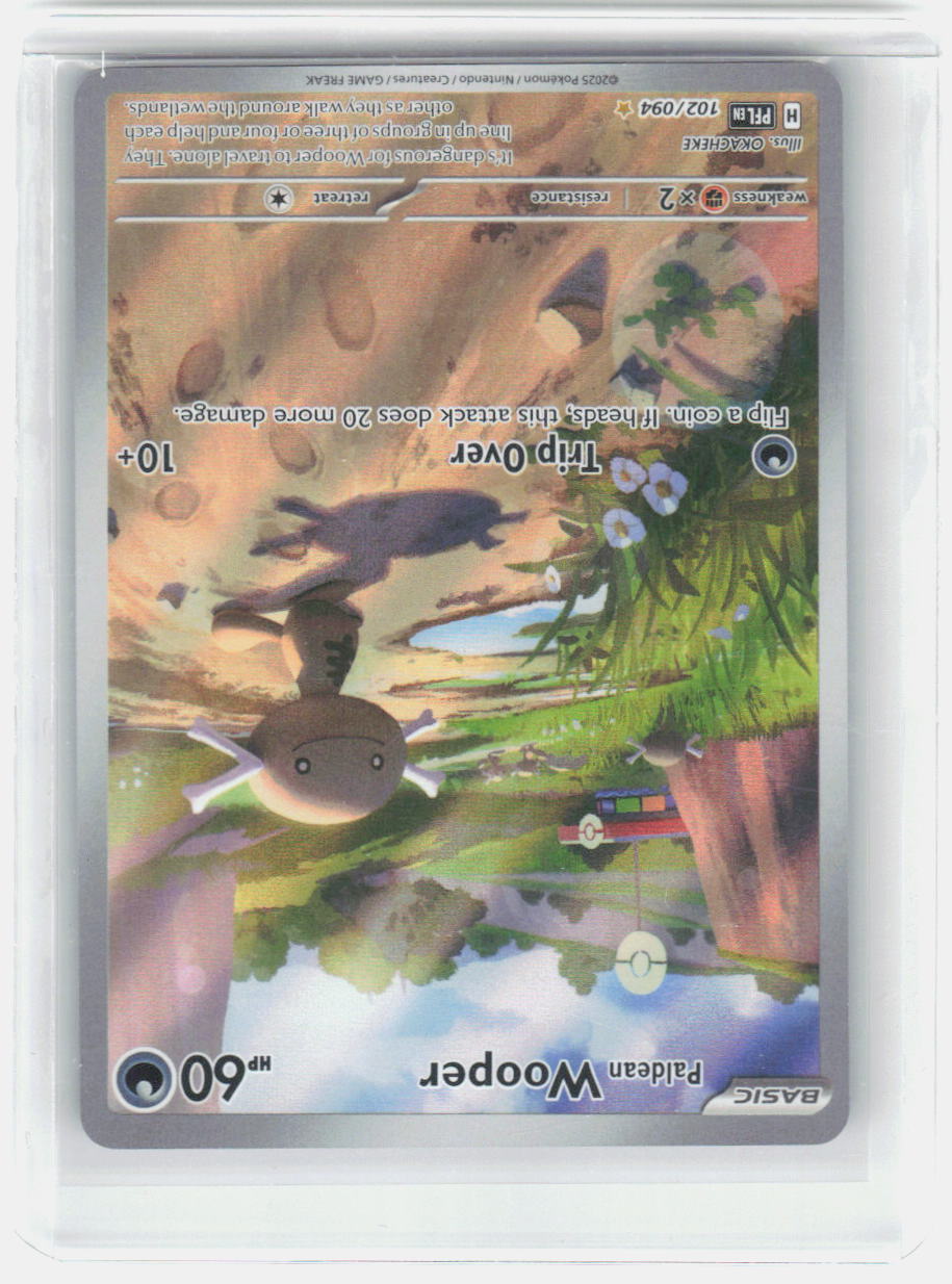 Paldean Wooper Holo Illustration Rare ME02: Phantasmal Flames 102/094 NM