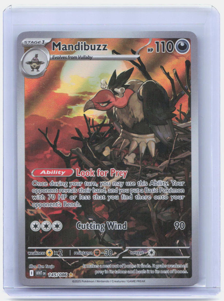 Mandibuzz Holo Illustration Rare SV: White Flare 145/086 NM