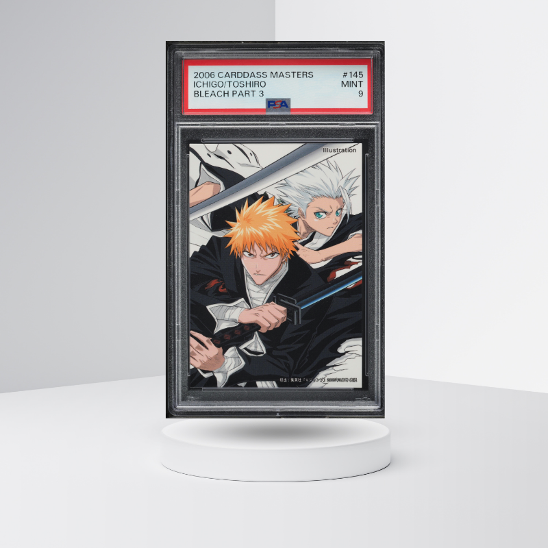 Ichigo and toshiro PSA 