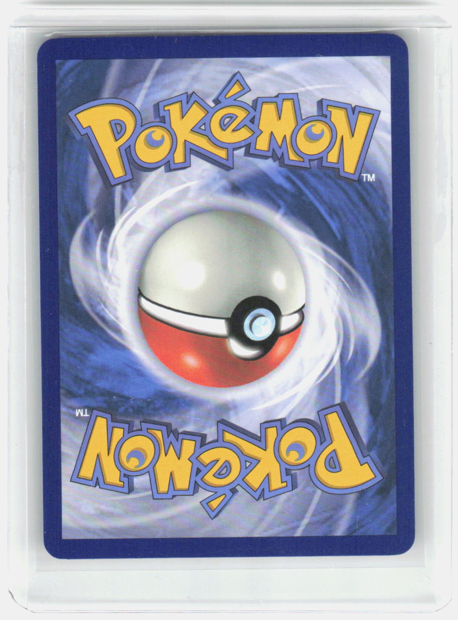 Skarmory Holo Illustration Rare SV08: Surging Sparks 209/191 NM (Back)