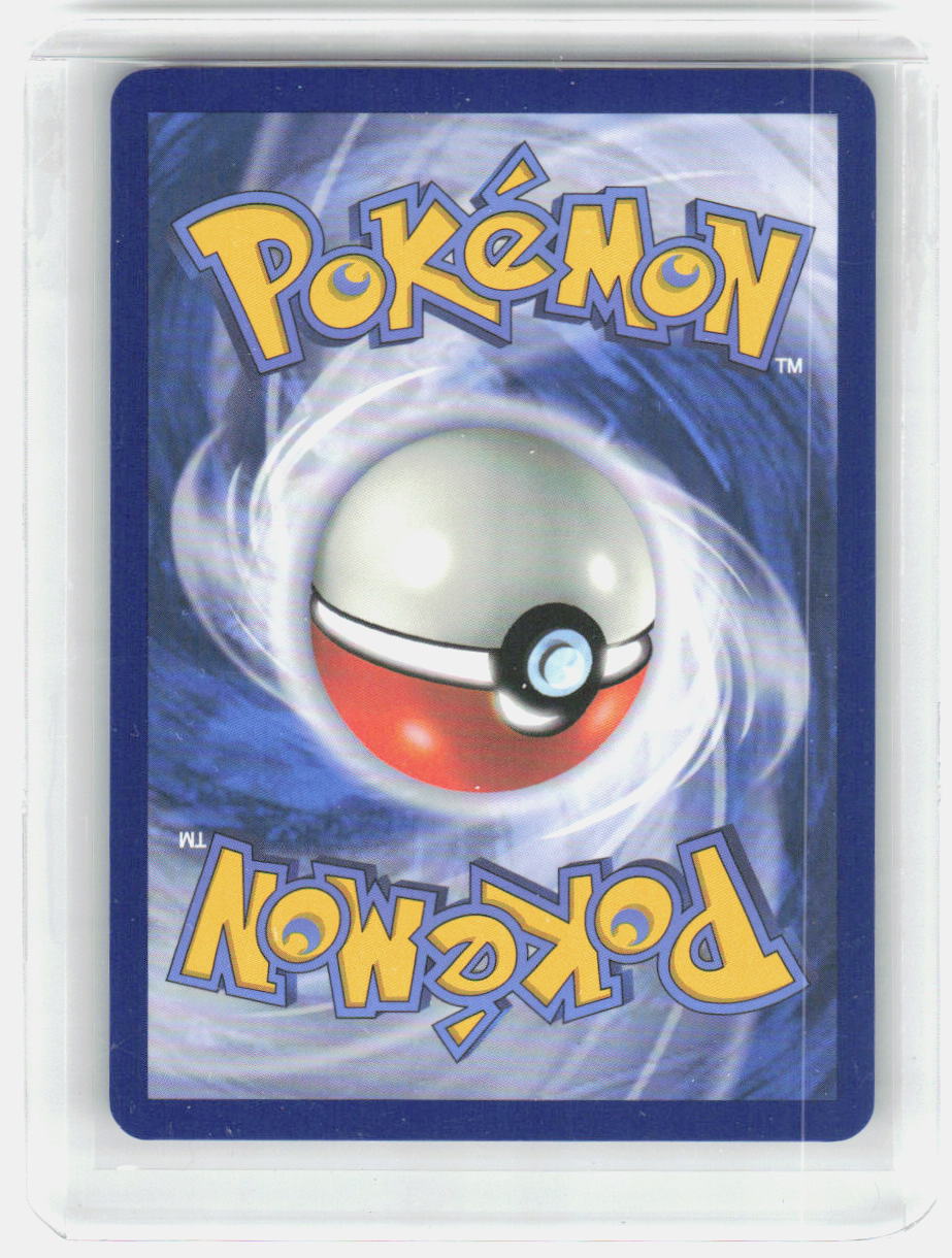 Phanpy Holo Illustration Rare SV08: Surging Sparks 205/191 NM (Back)