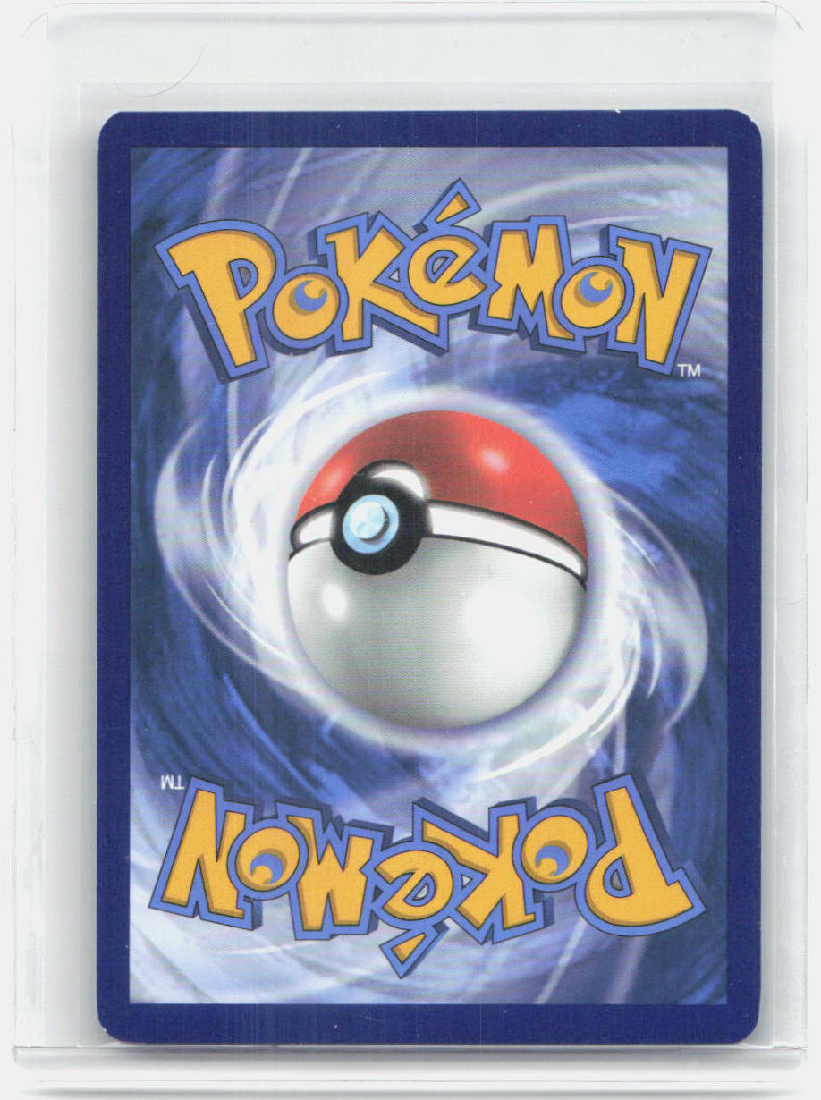 Lucario VSTAR Holo Promo SWSH: Sword & Shield Promo Cards SWSH291 NM (Back)