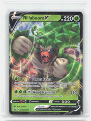 Rillaboom V Holo Promo SWSH: Sword & Shield Promo Cards SWSH014 NM